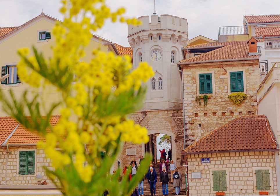 Doživi Trebinje i Herceg Novi uz parolu „Za sve gušte“, u vrijeme Praznika mimoze